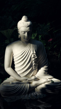 International Peace (18)