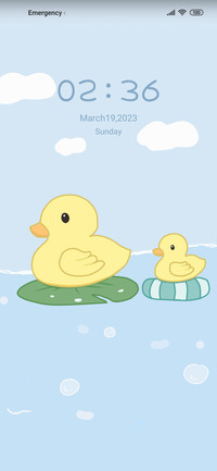 Ducklings swim