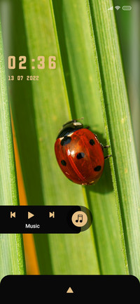 Wildlife_Bug