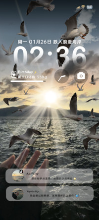 INS海鸥从不失约