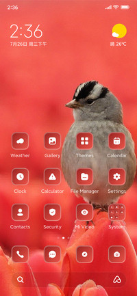 Bird