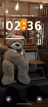 Bear bear is soft