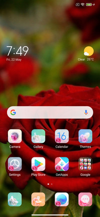 Valentines Roses  Love 
