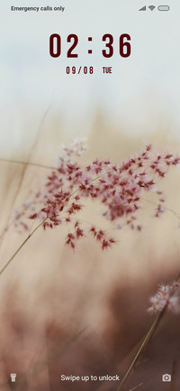 White Fields_3MDS