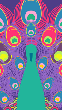 peacock_0008_peacock_0006_图层 9