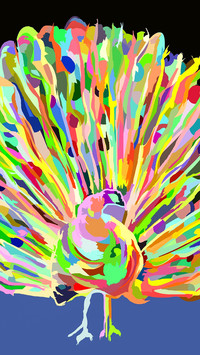peacock_0003_peacock_0011_图层 4