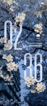 ins蓝调 花开时节