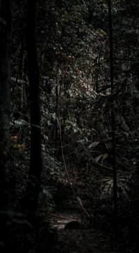 Horror (27)