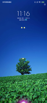 Lonely Tree