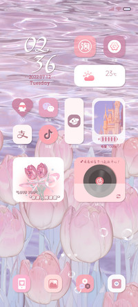 郁金香 世间温柔