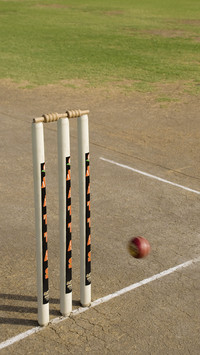 India-Cricket stumps