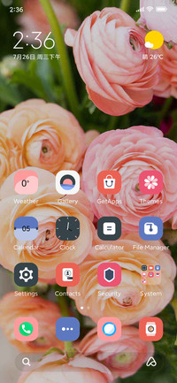 Pink rose