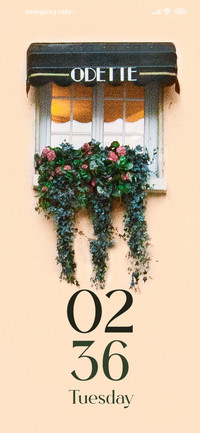 Window