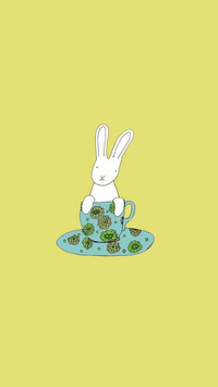 茶杯兔