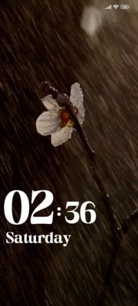 Flower Wet