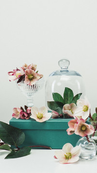 Plants for Prosperity and Prosperity 6