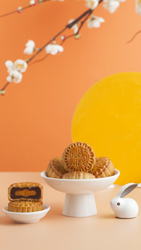 What packaging should I use for mooncakes 2