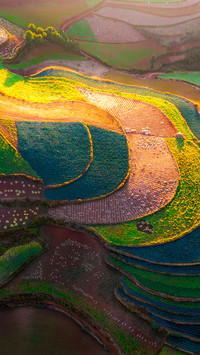 The red soil of dongchuan