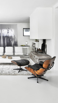 Minimalist modern home furnishings