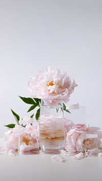The ancients taught you how to keep flowers fresh 51