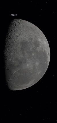 MOON