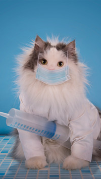 Doctor cat-01