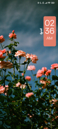 Flower Sky