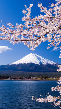 春游富士山