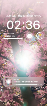丁达尔樱花树下ins