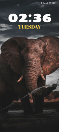 Brown Elephant