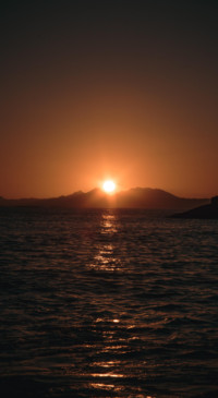 Nature B6 (30)