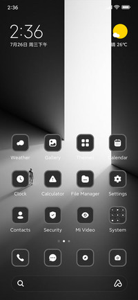 Shadow