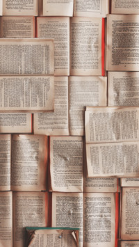 Literacy Day  (3)