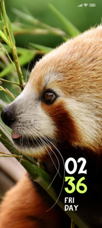 Cute Gazer