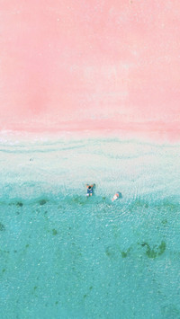 Islands occupied by pigs