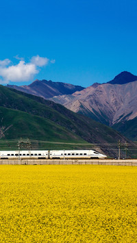 Train tickets for the dragon boat festival holiday are