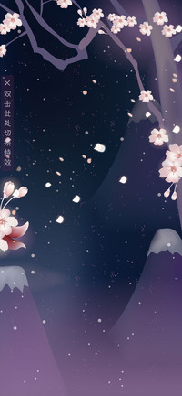樱花之夜 兔子