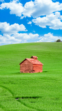 Rustic wooden farm shed and rolling green hills