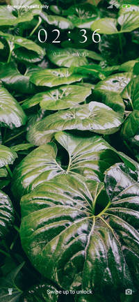 Plants-Blur_3MDS