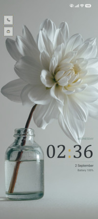 Ivory Bloom