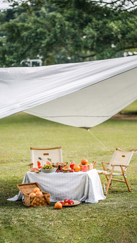 Sharing of good spring picnic items