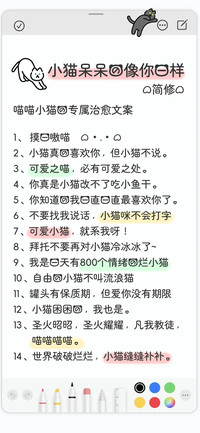 小猫呆呆的像你一样