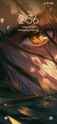 swordsman