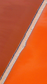 Hutt Lagoon has the world's largest microalgae production