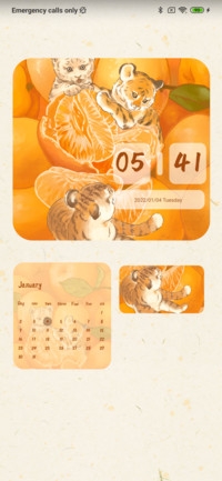 Lucky Tiger