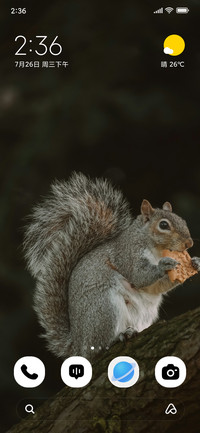 Nut Whisper