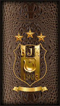 BJK-17