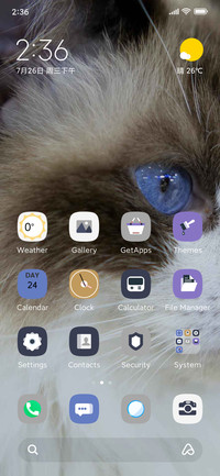 Fur cat