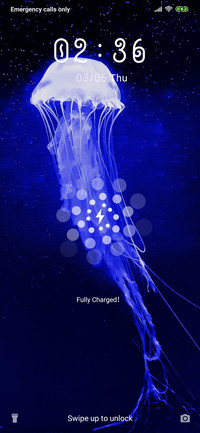 JellyFish_3MDP