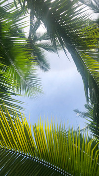 Thailand (5)